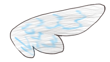 カモメイトの翼