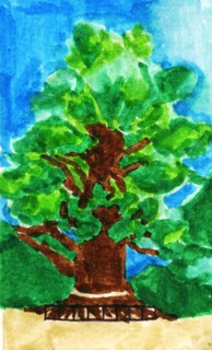 川棚の楠の木．１