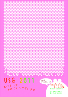USG2011